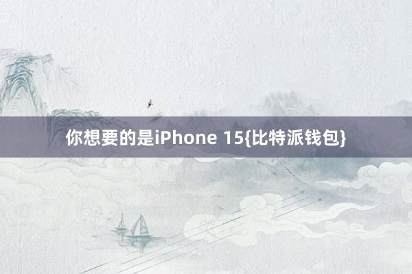 你想要的是iPhone 15{比特派钱包}