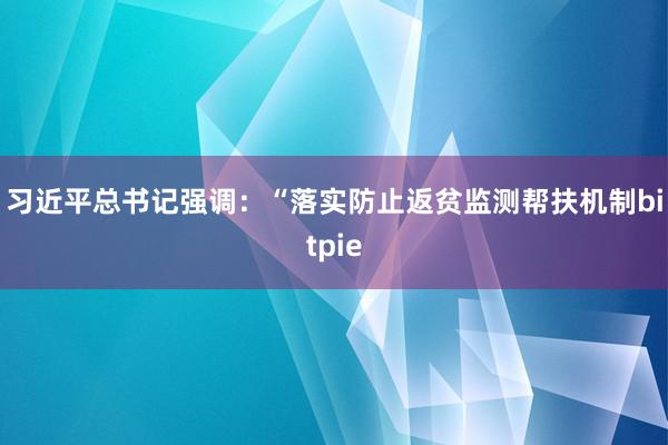 习近平总书记强调：“落实防止返贫监测帮扶机制bitpie