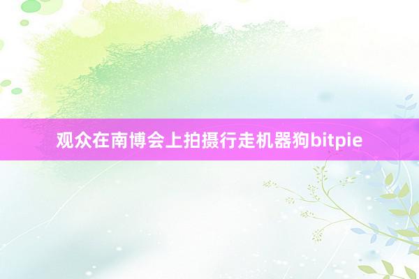 观众在南博会上拍摄行走机器狗bitpie