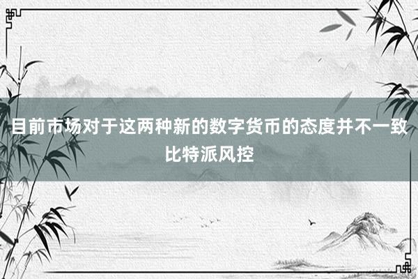 目前市场对于这两种新的数字货币的态度并不一致比特派风控