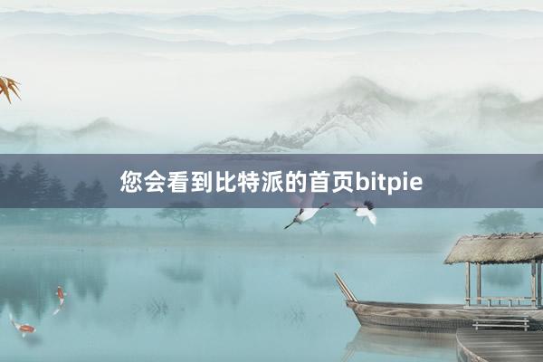 您会看到比特派的首页bitpie