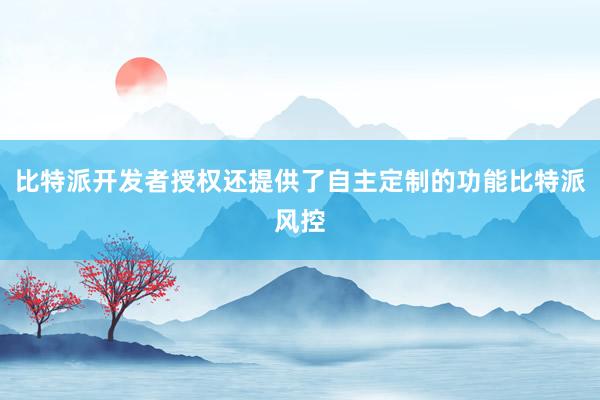 比特派开发者授权还提供了自主定制的功能比特派风控