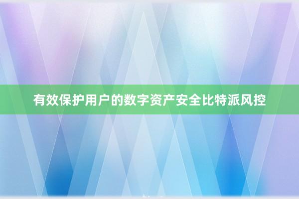 有效保护用户的数字资产安全比特派风控