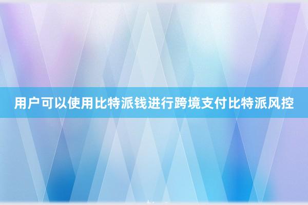 用户可以使用比特派钱进行跨境支付比特派风控