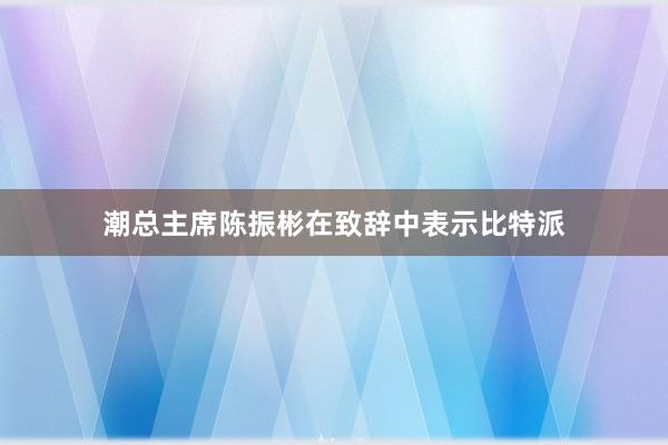 潮总主席陈振彬在致辞中表示比特派