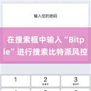 在搜索框中输入“Bitpie”进行搜索比特派风控