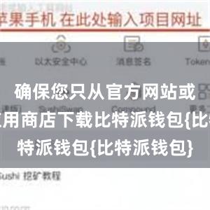 确保您只从官方网站或可信的应用商店下载比特派钱包{比特派钱包}