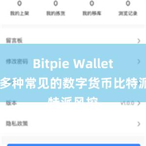 Bitpie Wallet 支持多种常见的数字货币比特派风控